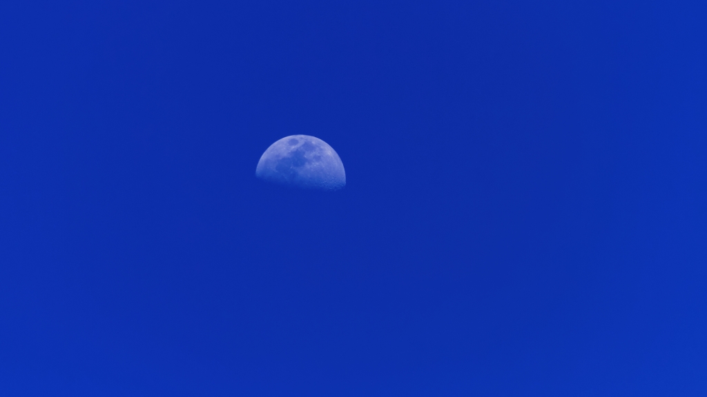 25 - Tortuguero NP (42).jpg